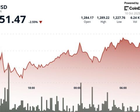 La hausse de 129 % de BNB reflète le rebond de Solana en 2024