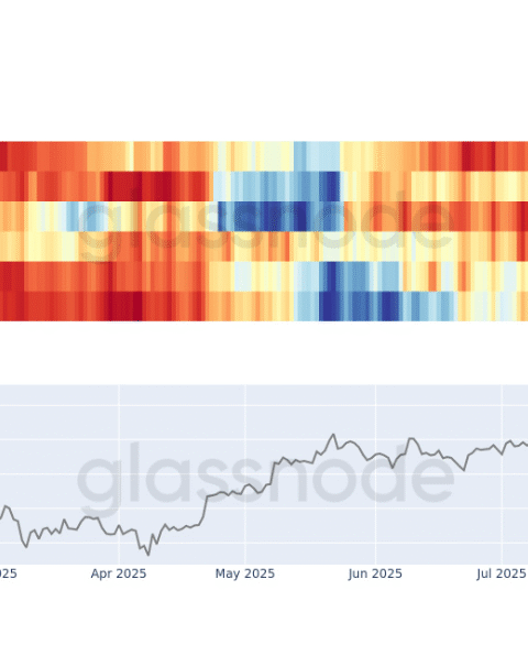 La tendance d'accumulation se renforce alors que le Bitcoin dépasse 120 000 $