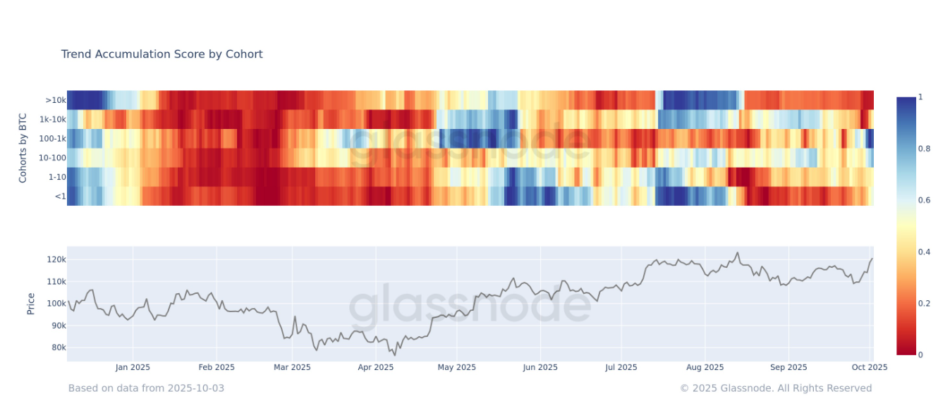 La tendance d'accumulation se renforce alors que le Bitcoin dépasse 120 000 $