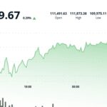 Le bitcoin se stabilise au-dessus de 111 000 $ dans l'attente d'un nouveau catalyseur