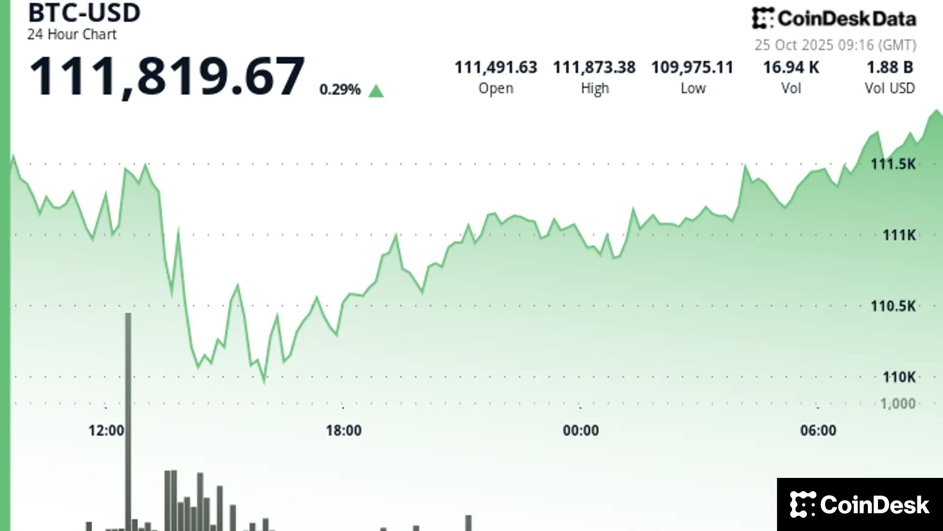 Le bitcoin se stabilise au-dessus de 111 000 $ dans l'attente d'un nouveau catalyseur