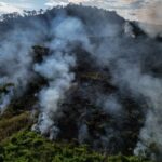 Le Brésil, responsable de plus de 70 % de la déforestation mondiale selon la FAO