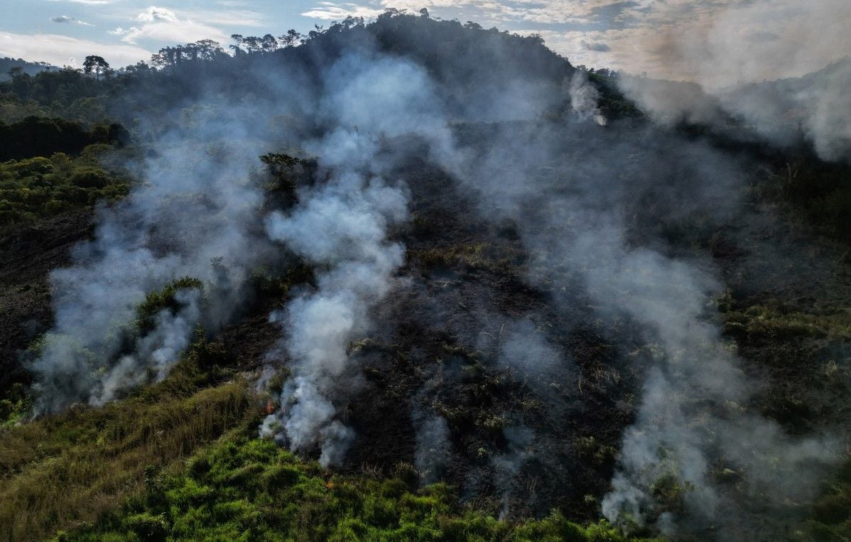 Le Brésil, responsable de plus de 70 % de la déforestation mondiale selon la FAO