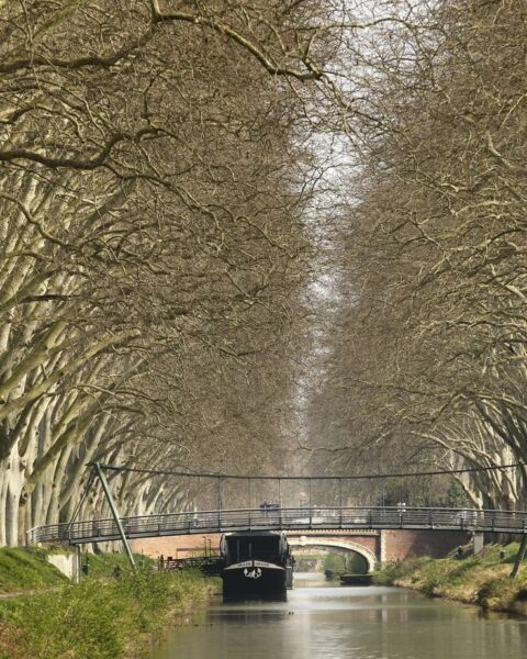 Le canal du Midi fermé à la navigation en raison d'une sécheresse exceptionnelle