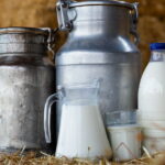 Le lait de foin : un produit laitier traditionnel aux multiples bienfaits en France