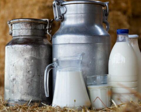 Le lait de foin : un produit laitier traditionnel aux multiples bienfaits en France