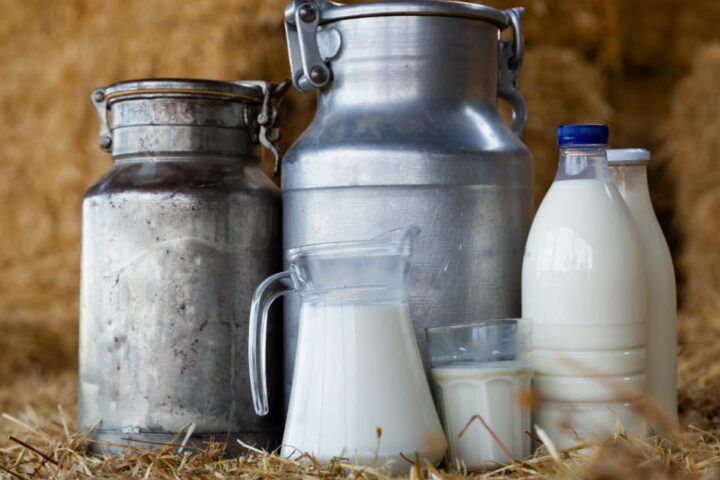 Le lait de foin : un produit laitier traditionnel aux multiples bienfaits en France