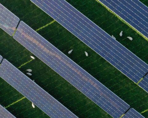 Le parc photovoltaïque de Fontenet alimentera la SNCF en électricité d'ici janvier 2026