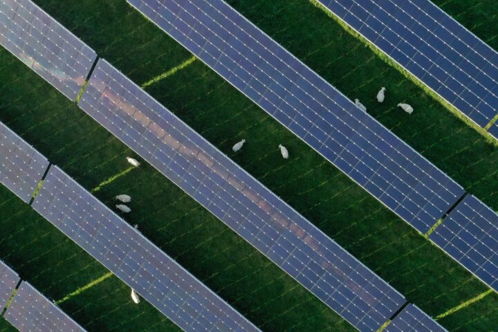 Le parc photovoltaïque de Fontenet alimentera la SNCF en électricité d'ici janvier 2026