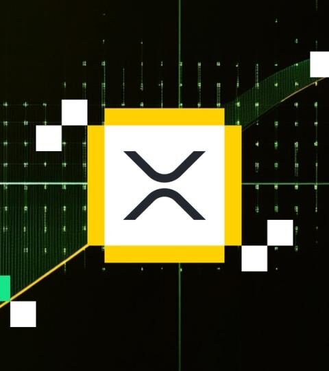 Le premier ETF XRP aux États-Unis dépasse 100 millions de dollars en actifs sous gestion