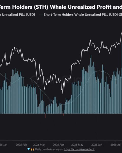 Les baleines de Bitcoin à court terme détiennent désormais 10,1 milliards de dollars de gains non réalisés