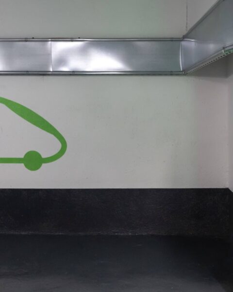 Les hybrides rechargeables, un désastre écologique : des coûts cachés révèlent de sévères déceptions