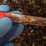 Les microplastiques modifient le microbiote intestinal, selon une étude internationale