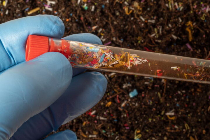 Les microplastiques modifient le microbiote intestinal, selon une étude internationale