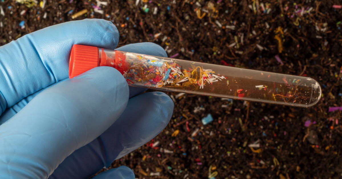 Les microplastiques modifient le microbiote intestinal, selon une étude internationale