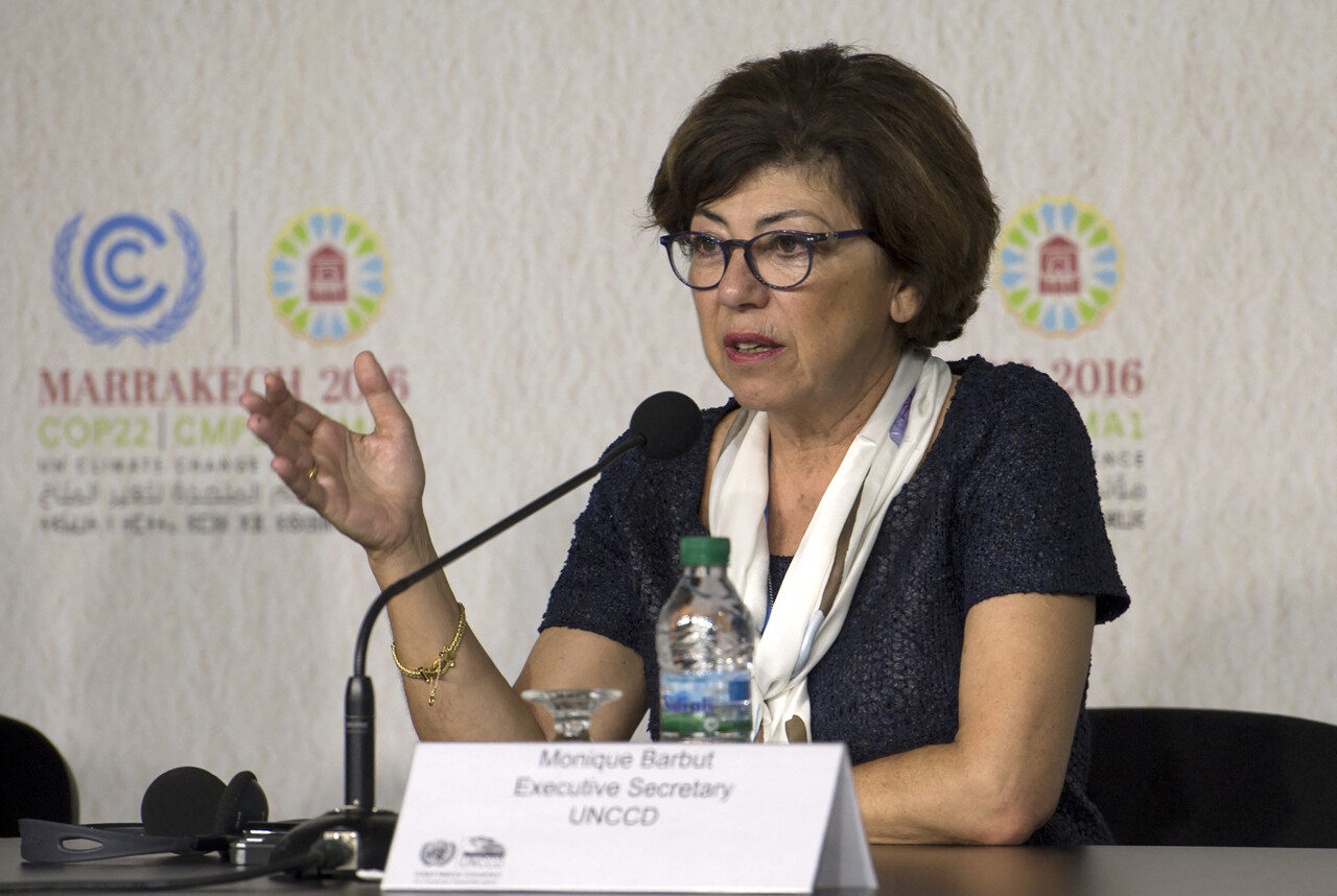 Monique Barbut devient ministre de la Transition Écologique dans le gouvernement Lecornu II