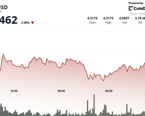 Polkadot (DOT) montre des signes de résilience après une chute significative