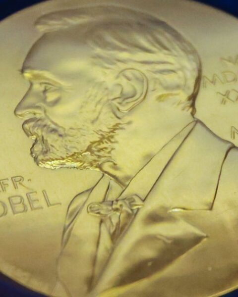 Prix Nobel : tout ce qu'il faut savoir sur les lauréats de 2025