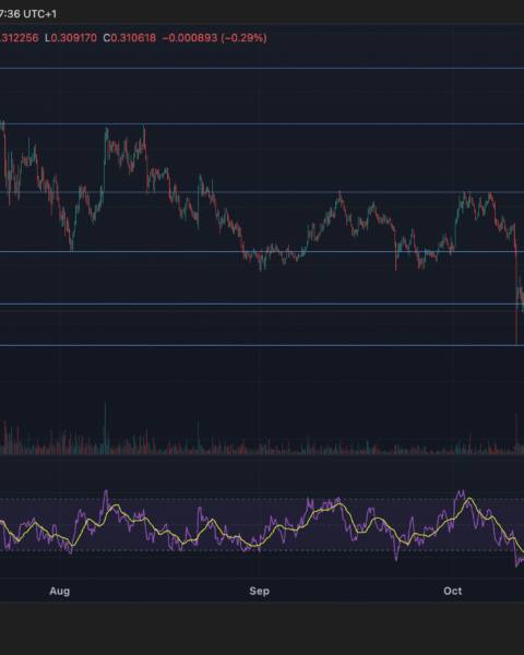 Stellar chute de 5 % en dessous du support crucial de 0,32 $