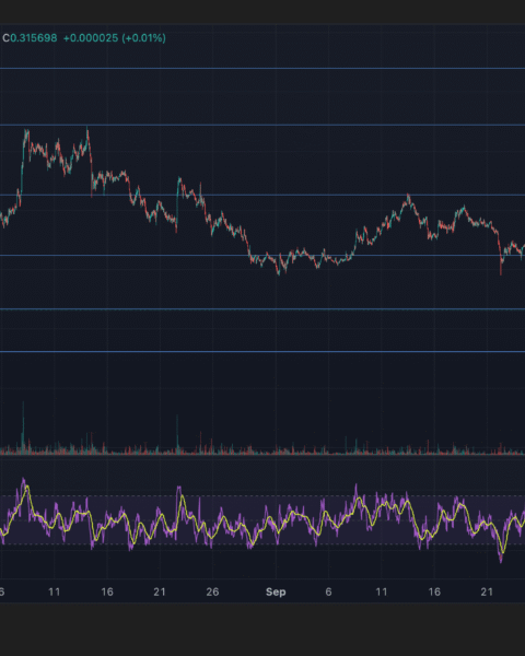 Stellar Lumens (XLM) subit une volatilité marquée lors de la séance de trading du 16 octobre