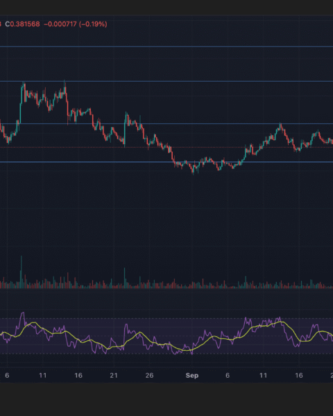 Stellar (XLM) montre des signes de reprise rapide grâce à un intérêt institutionnel croissant