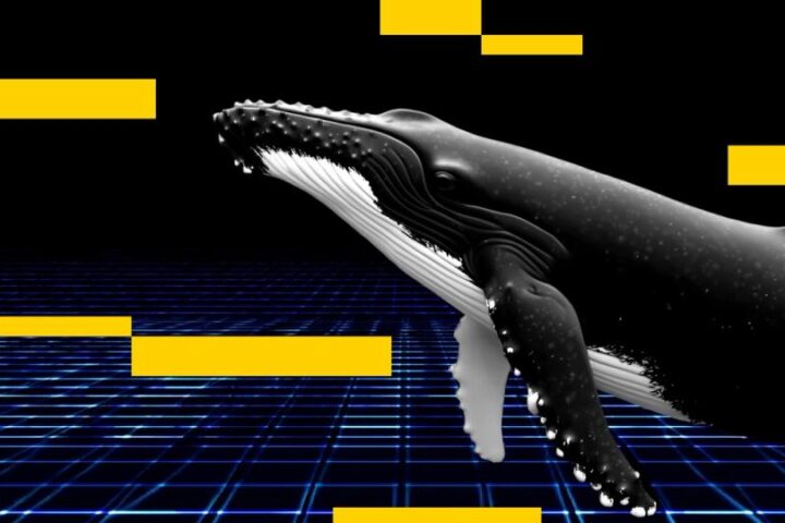 Un investisseur a profité des droits de douane de Trump sur la Chine pour parier 234 millions de dollars à la baisse sur le Bitcoin