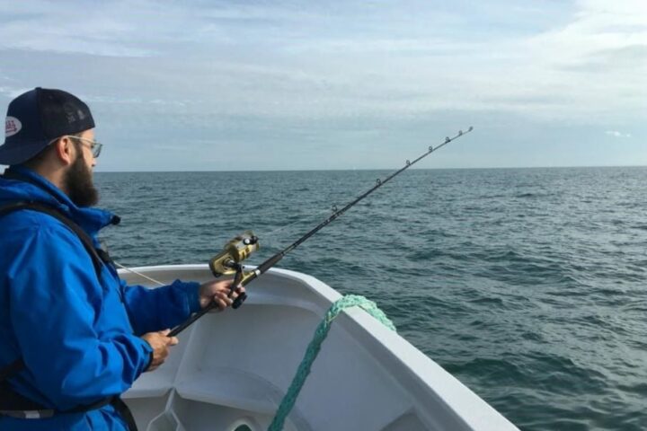 Un poisson tropical ultra-rapide pêché au large de Saint-Jean-de-Luz dans les Pyrénées-Atlantiques