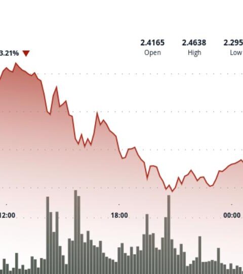 XRP atteint une zone d'épuisement après une baisse de 34 % des détenteurs