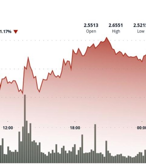 XRP déclin au-dessous de 2,60 $ alors que des ventes de 63 millions $ perturbent Binance