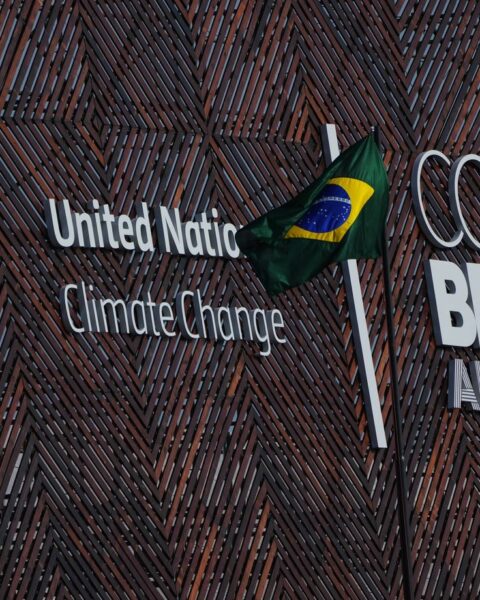 À la COP30, le seuil de 1,5 °C de réchauffement climatique face à l'urgence climatique