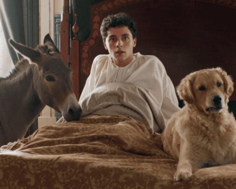 À l'affiche : «Pompei, Sotto le Nuvole», «L'Arbre de la connaissance», «Franz K.» et «Dossier 137»