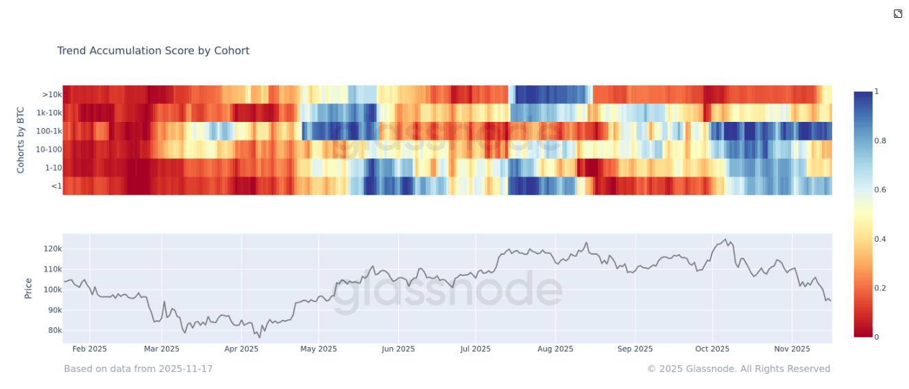 Accumulation de bitcoins malgré la faiblesse du marché : augmentation marquée des détenteurs de 1 000 BTC