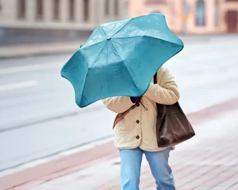 Après une brève pause, la météo se dégrade : un front pluvieux affecte la France ce jeudi.