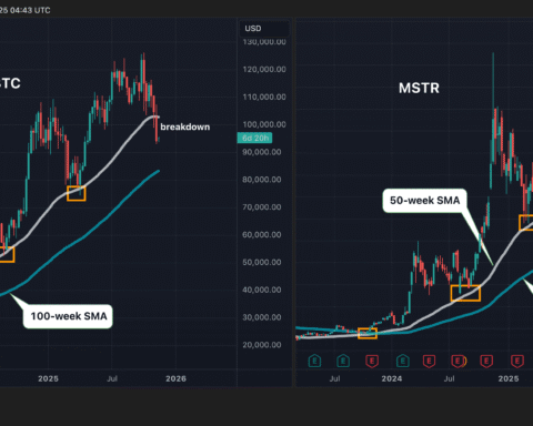 Bitcoin chute sous un support clé alors que la mémoire du marché s'effondre