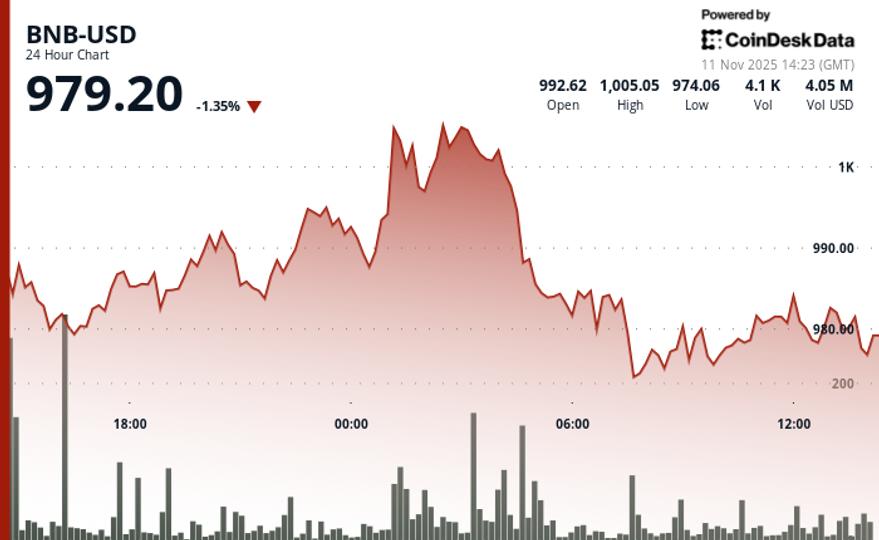 BNB chute en dessous de 1 000 $ alors que la pression de vente entraîne le token dans un territoire baissier