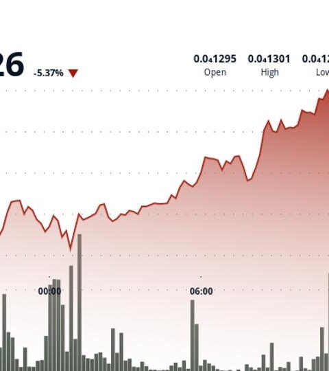 BONK chute de 5 % à 0,00001223 après un rejet à la résistance clé