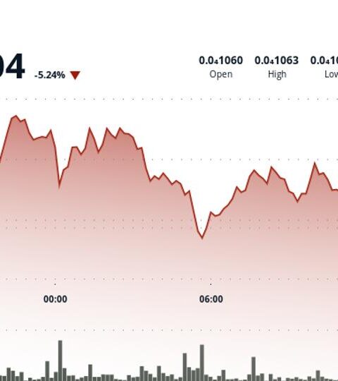 BONK en baisse après rupture de soutien clé, risque d'une poursuite de la tendance négative