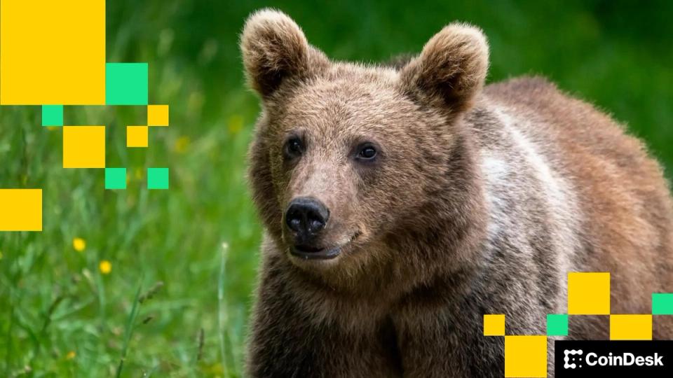 CryptoQuant avertit d'une tendance "extrêmement baissière" pour le marché du Bitcoin