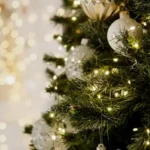 Découvrez la date optimale pour acheter votre sapin afin qu'il reste frais jusqu'aux fêtes.