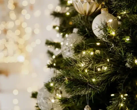 Découvrez la date optimale pour acheter votre sapin afin qu'il reste frais jusqu'aux fêtes.