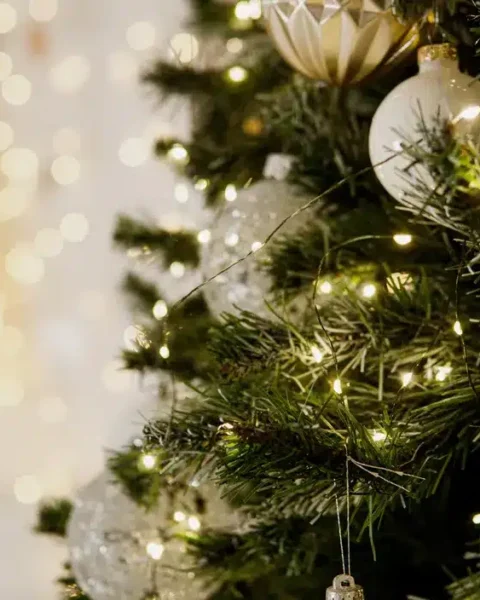 Découvrez la date optimale pour acheter votre sapin afin qu'il reste frais jusqu'aux fêtes.