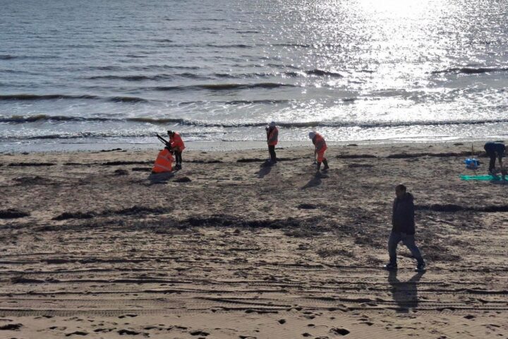Des millions de billes de plastique envahissent les plages du sud de l’Angleterre