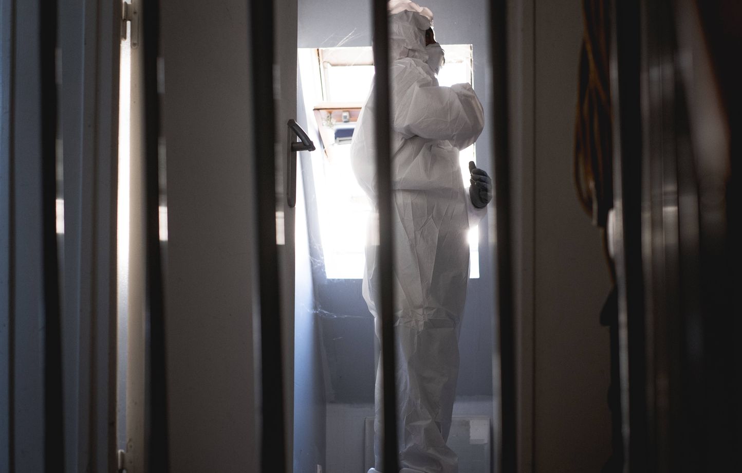 Des punaises de lit pourraient jouer un rôle dans la résolution de crimes grâce à l'analyse ADN