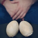 Fracture du pénis : symptômes, causes et importance d'une intervention rapide