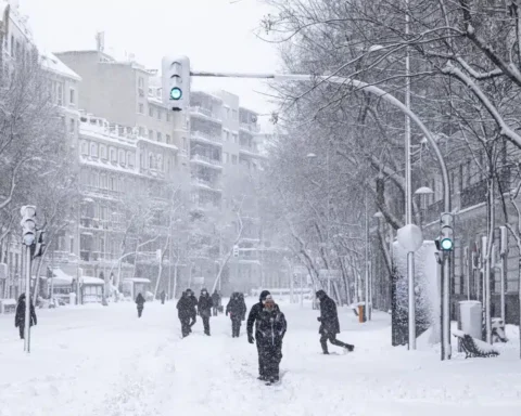 France gelée : un mois de novembre semblable à un hiver rigoureux, des records de températures battus.