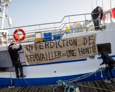 La fermeture de la pêche dans le golfe de Gascogne a sauvé des milliers de dauphins