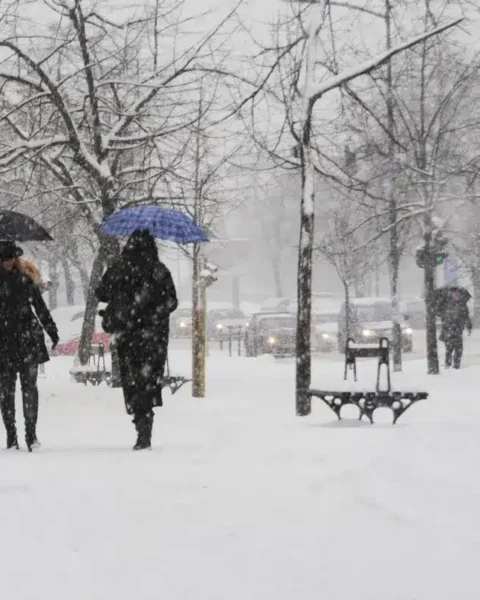 La neige arrive plus tôt que prévu : ces régions se préparent à blanchir dès cette semaine.