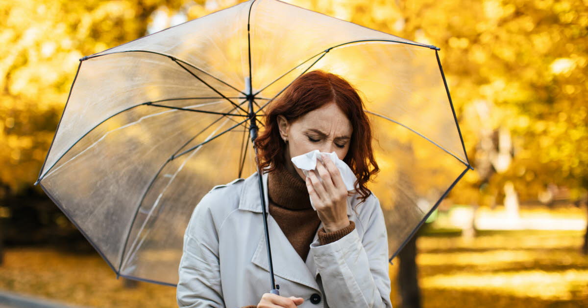 La pluie et l'humidité : quel impact réel sur notre santé ?