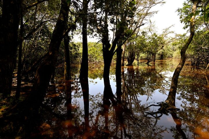 L'avenir des droits de la nature en Équateur menacé par un référendum constitutionnel