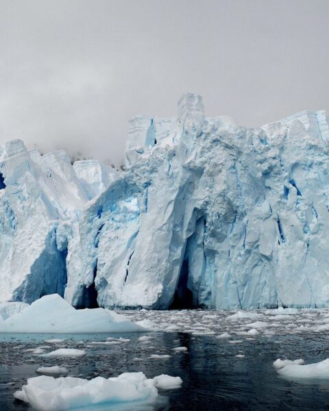 Le Hektoria Glacier en Antarctique recule de 50 % en deux mois, alerte une étude